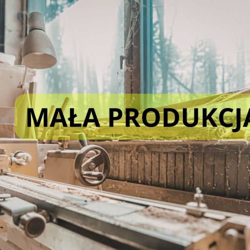 Mała produkcja – niszowe pomysły o wysokiej opłacalności: przewodnik wyboru branży