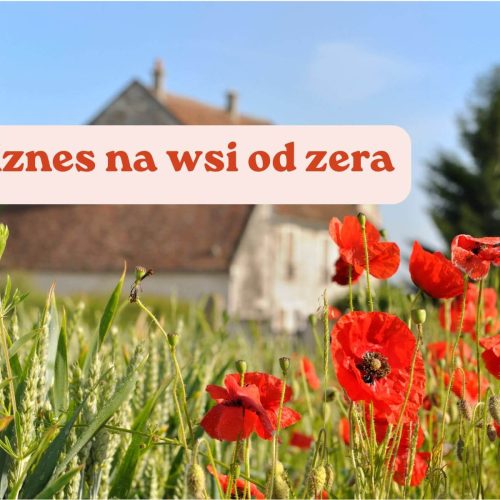 Biznes na wsi od zera: na czym polega i jak zacząć własną działalność na terenach wiejskich