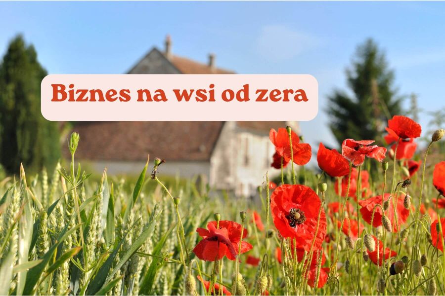 Biznes na wsi od zera: na czym polega i jak zacząć własną działalność na terenach wiejskich