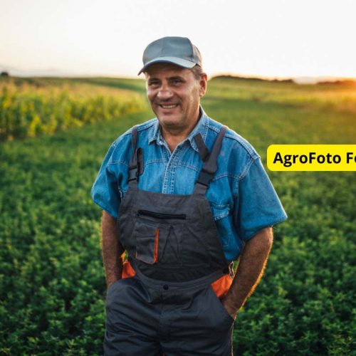 Agrofoto forum – jak z rolniczej społeczności internetowej powstał biznes
