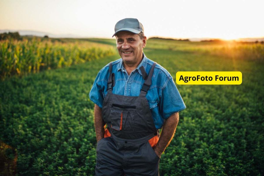 Agrofoto forum – jak z rolniczej społeczności internetowej powstał biznes