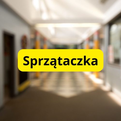 Ile zarabiają sprzątaczki w szkole: aktualne stawki i czynniki wpływające na wynagrodzenie