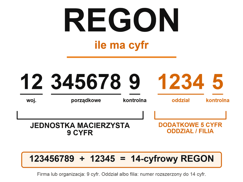 Ile cyfr ma REGON? Numer 9 i 14-cyfrowy – budowa, nadawanie i sprawdzanie